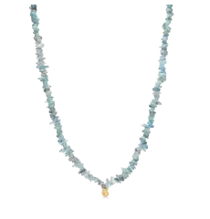 Studio Z SEASHELL SECRETS halskæde med kyanit - Halskæder